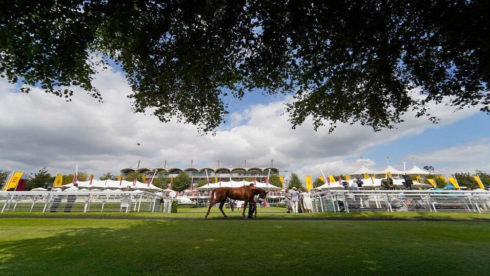 Goodwood racecourse